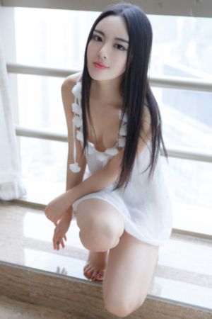 白夜追凶电视剧免费观看全集_DVD高清视频观看