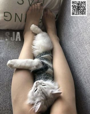 韩国私人教练电影_超清在线视频播放