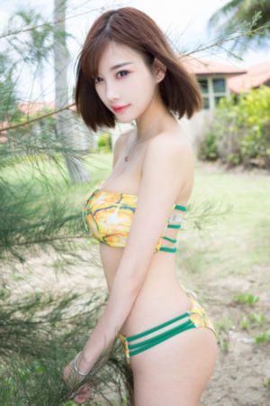 星学院4_DVD免费观看电视剧