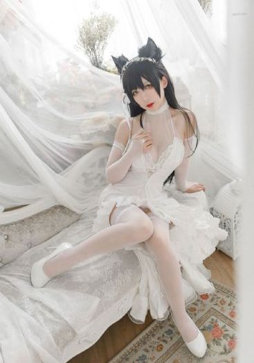 凤鸣九天短剧_蓝光免费在线观看