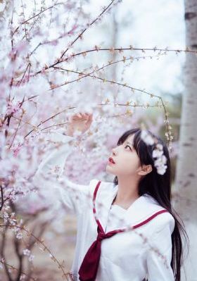 小兵传奇动漫_剧情片在线播放